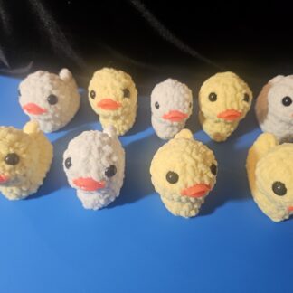 Ducks